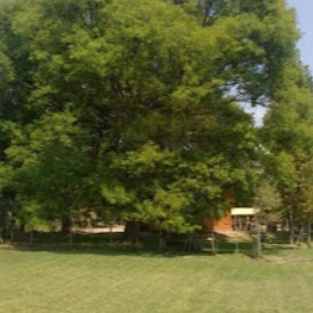 فندق Hosteria Huaco المظهر الخارجي الصورة