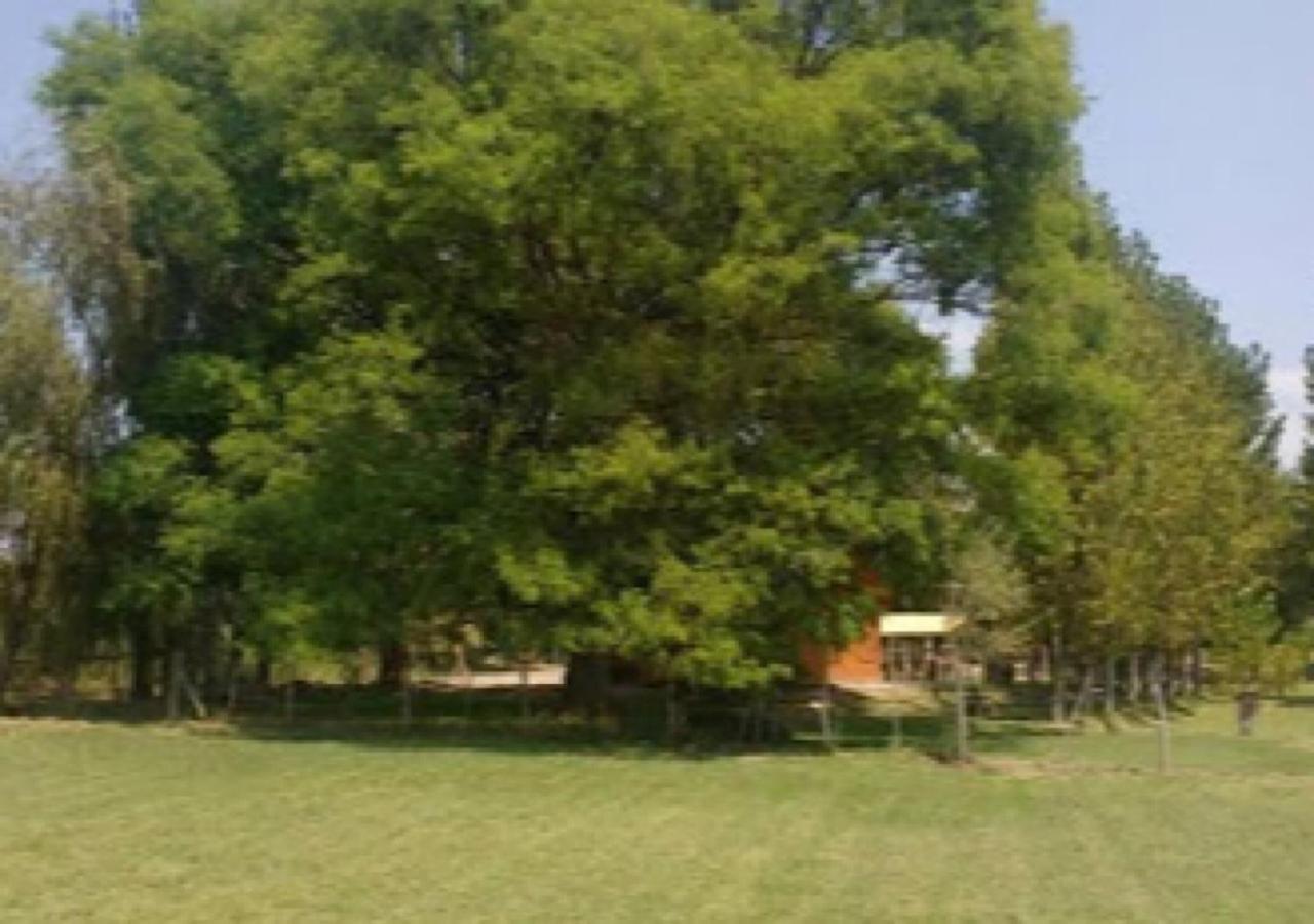 فندق Hosteria Huaco المظهر الخارجي الصورة