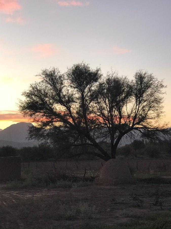 فندق Hosteria Huaco المظهر الخارجي الصورة