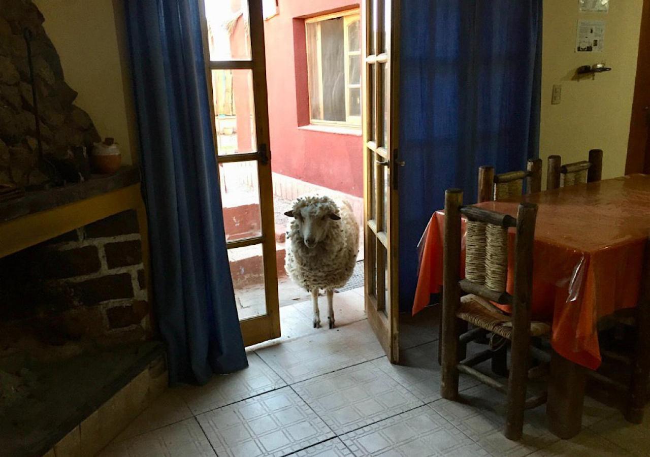 فندق Hosteria Huaco المظهر الخارجي الصورة