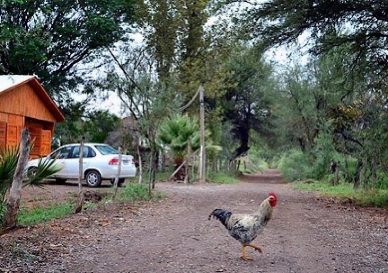 فندق Hosteria Huaco المظهر الخارجي الصورة